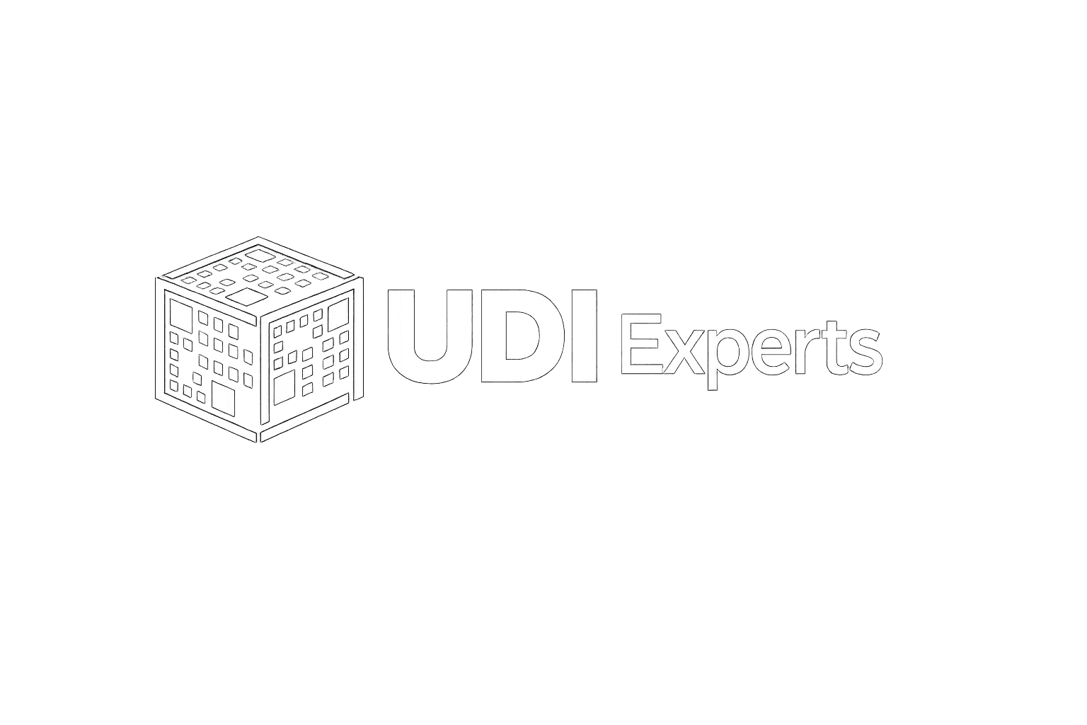 UDI Experts